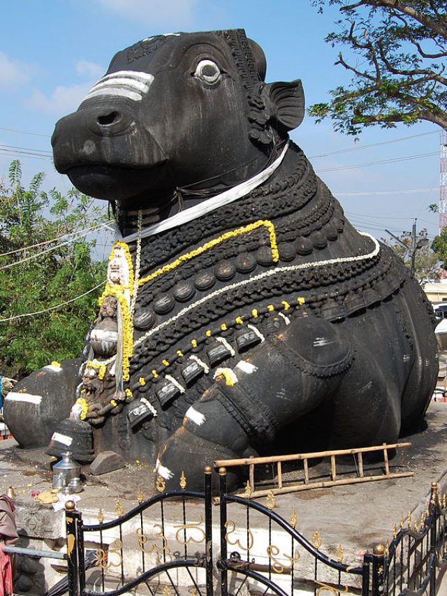 Nandi, the sacred bull of Hindu mythology
