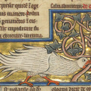 A Plover; Unknown; Thérouanne ?, France (formerly Flanders); fourth quarter of 13th century (after 1277); Tempera colors, pen and ink, gold leaf, and gold paint on parchment; Leaf: 23.3 x 16.4 cm (9 3/16 x 6 7/16 in.); Ms. Ludwig XV 4, fol. 74