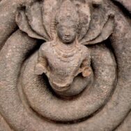 Vasuki