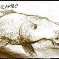 Mythlok - Mamlambo art