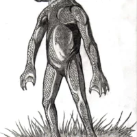 Mythlok - Intulo drawing