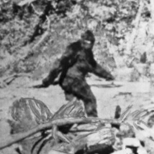 Mythlok - Bigfoot real_