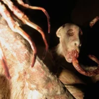 Mythlok - Bal-Bal Model Physical model of Bal-Bal displayed,featuring grotesque details like extended claws, sharp teeth, and a stretched tongue.