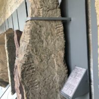 Mythlok - Ogma stone Ancient stone carved with Ogham script honoring Ogma