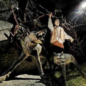 Mythlok - Beast of Gevaudan Real_ Image of the exhibit of the Beast of Gevaudan in France