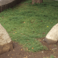 A sculpture of the Mapuche serpent Cai Cai Vilu