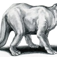 Mythlok - Emela Ntouka drawing Drawing of the Mbuti & Twa monster Emela Ntouka