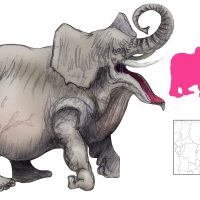 Mythlok - Liqimsa drawing Comparative drawing of the Liqimsa