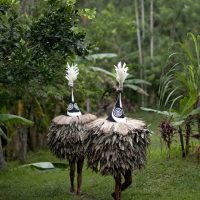 Mythlok - Tubuan performers Performers of the Tolai ancestral spirit Tubuan