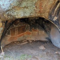 Mythlok - Bundjil cave painting Cave painting representing the Taungurung creator eagle Bundjil