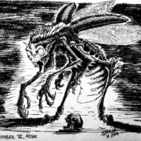 Mythlok - Adze drawing Drawing of the Ewe vampire Adze