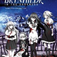 Anime of the Norse Valkyrie Brynhildr