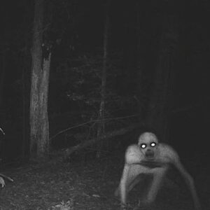 Supposed real image of the Fleshgait