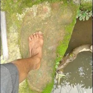 Mythlok - Mande Barung real_ Supposed footprint of the Mande Barung
