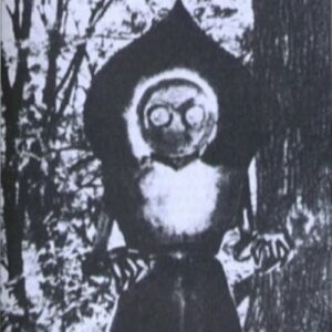 Mythlok - Flatwoods Monster real_ Supposed real image of the Flatwoods Monster