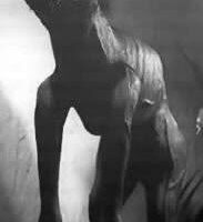 Mythlok - Luison figurie Sculpture of the Guarani Spirit Luison