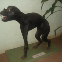Mythlok - Luison sculpture Sculpture of the Guarani Spirit Luison